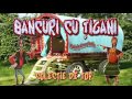 BANCURI CU TIGANI - COLECTIE DE TOP 2016