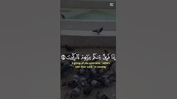 قرآءة رائعة من سورة النحل #قرآن كريم #اكسبلور #لايك