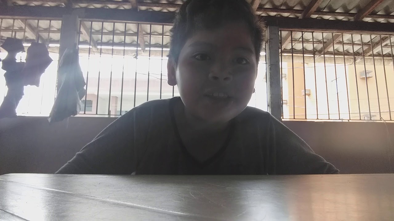 rodinhas para sapato