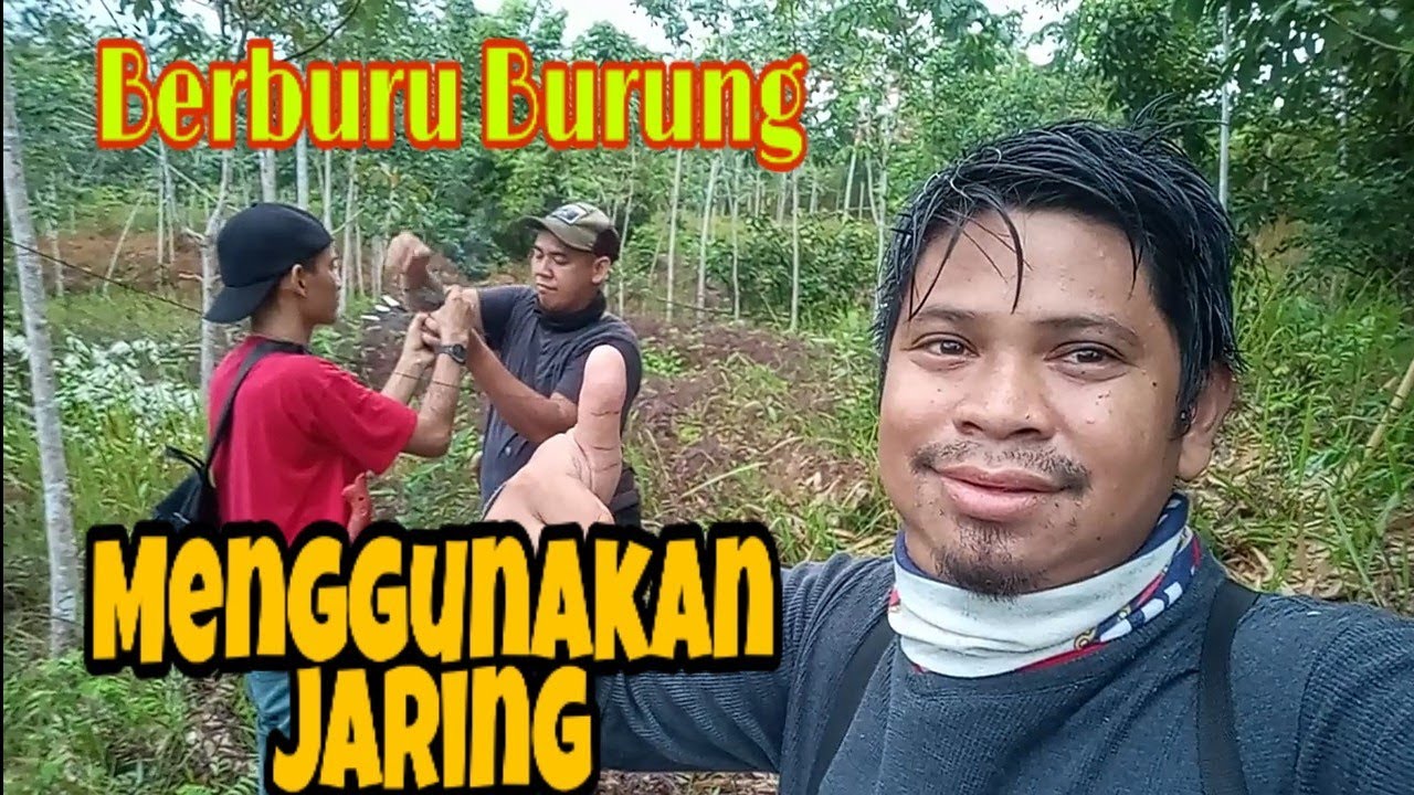 Berburu Burung menggunakan jaring 