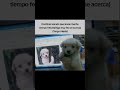 el dogcore me consume.. #youtubeshorts #dog