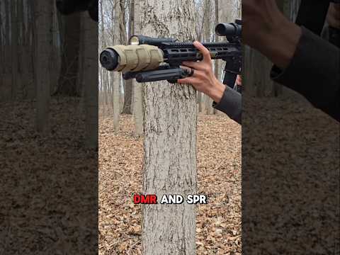 DMR vs SPR