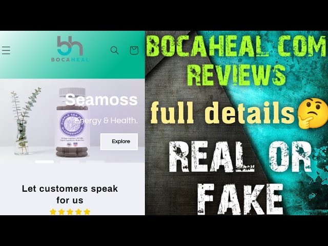 Bash-mx.com Review: Legit or Scam?