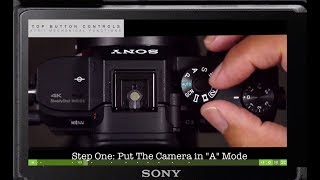 Sony a6400 *Critical Autofocus Setup Settings