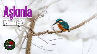 Aşkınla - Mahmut Işık Resimi