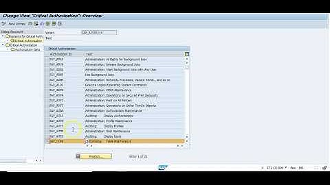SAP Cyber Security Critical Object