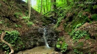 Waterfall Relaxation #10 and Bird Songs