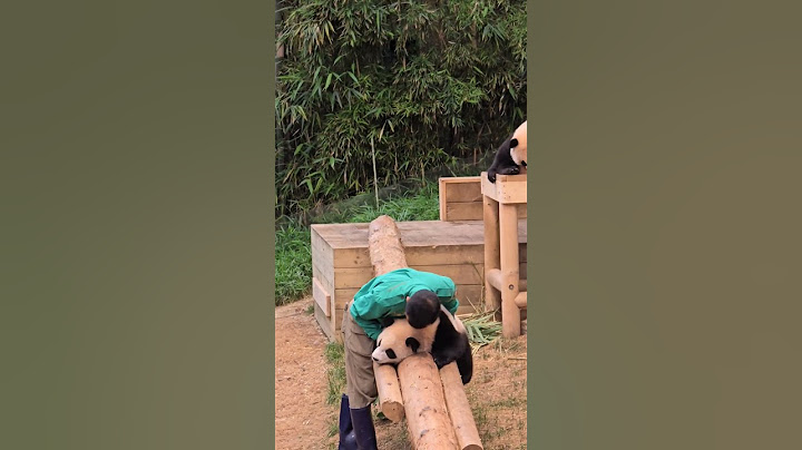 할부지를 녹이는 루이의 햇살미소 | 강바오의 폭풍쓰담쓰담 🐼 탄성 나온 햇살둥이 루이의 미소 #바오패밀리 #쌍둥바오 #햇살루이 #루이바오 #강바오 #아기판다