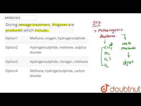 Video: Under kloakkbehandling produseres det biogasser som inkluderer?