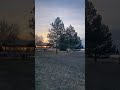 Happy sunrise! I named my orb Jasper! He’s dancing in front of me #orb#sun rise #happy#nature