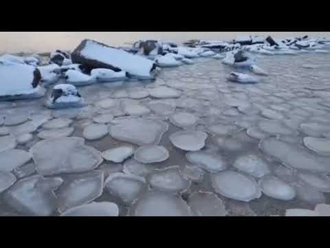 Ледяные медузы Бердянск