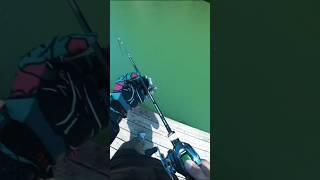 Download Lagu Tempat Mancing Ikan yang Banyak #mancing #fishing joran_ku MP3