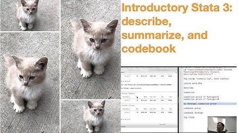 Introductory Stata 3: Summary Statistics using describe, summarize, and codebook