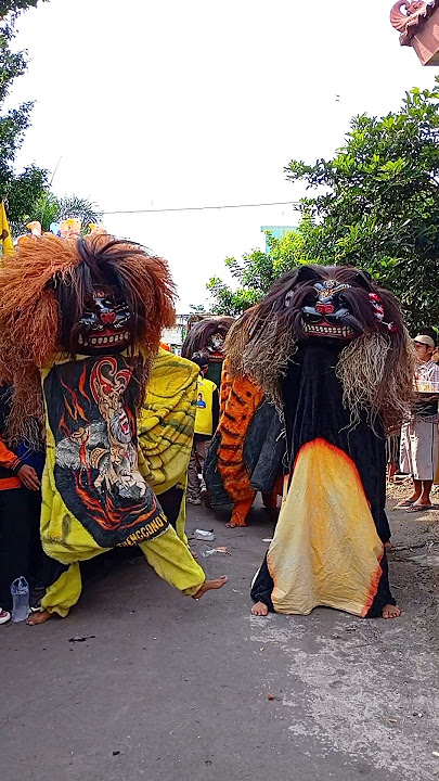 Parade Barongan Gringsing #singobarong