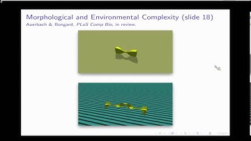 ShanghAI Lectures 2013 - Evolution of Morphological Complexity
