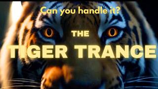 The Tiger Trance Challenge