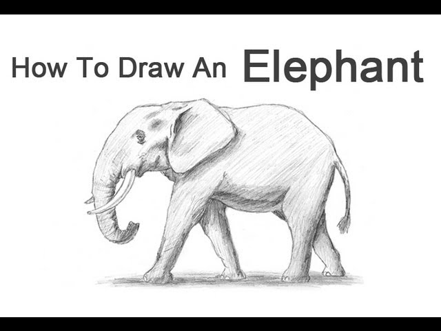 How to Draw an Elephant - Easy Step by Step Instructions
