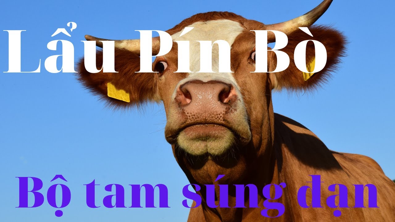 Ăn Lẩu Pín bò (bộ tam súng đạn) Món bổ âm,bổ dương,bổ giường,bổ chiếu ...