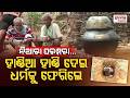 ମୟୂରଭଞ୍ଜରେ ସାନ୍ତାଳୀ ସମ୍ପ୍ରଦାୟର ନିଆରା ପରମ୍ପରା, ଗାତରେ ପଶି ପୁଣି ଜନ୍ମ | Rare Santali Custom Comes Alive