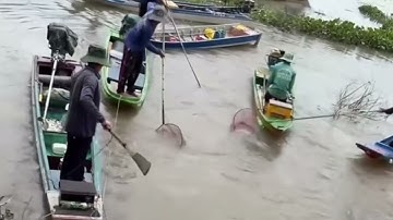 Mùa Nước Nổi Tràn Đồng Vùng Biên Giới cả xóm trúng ổ cá khủng từ Campuchia