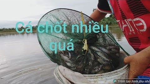 thăm dớn  mùa nước lũ trên đồng ruộng