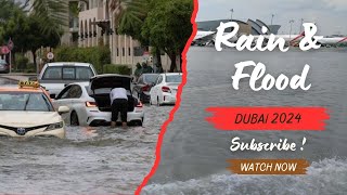 After Heavy Rain and Flood in Dubai 🇦🇪 | Dubai me fase Log ? 🥵| Dubai Series  EP 1