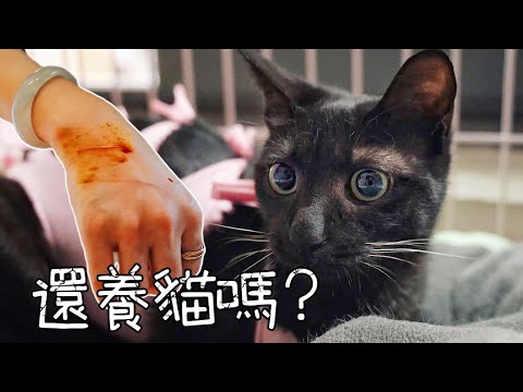 Video: Ar keisdami kačių kraiką turėtumėte dėvėti kaukę?