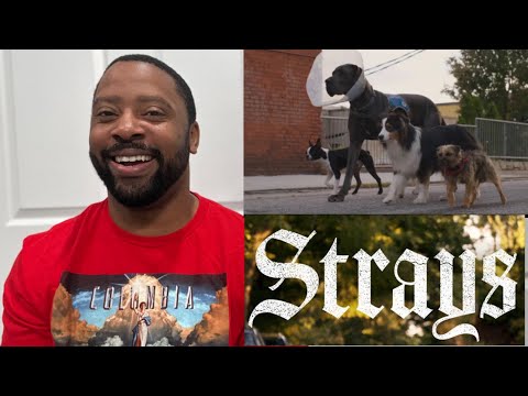 Strays | Official Red Band Trailer | Reaction