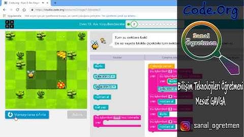 (Code.Org) Kurs: 2 Ders: 13 Arı: Koşullandırıcılar