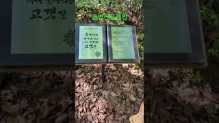 금병산 트래킹 #아쉽네요 #금병산 #소확행 #김유정문학촌