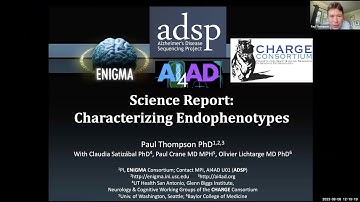 Brain Imaging, Genetics and Alzheimer