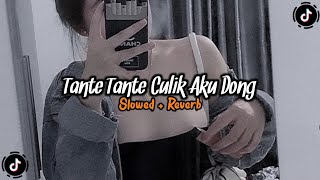 Download Lagu DJ Tante Tante Culik Aku Dong — Slowed + Reverb 🎧 MP3 Download Lagu DJ Tante Tante Culik Aku Dong — Slowed + Reverb 🎧 MP3