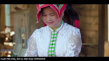 Vẻ đẹp vùng cao - Bản DLCĐ Bản Vặt, Xã Mường Sang, Huyện Mộc Châu, Sơn La