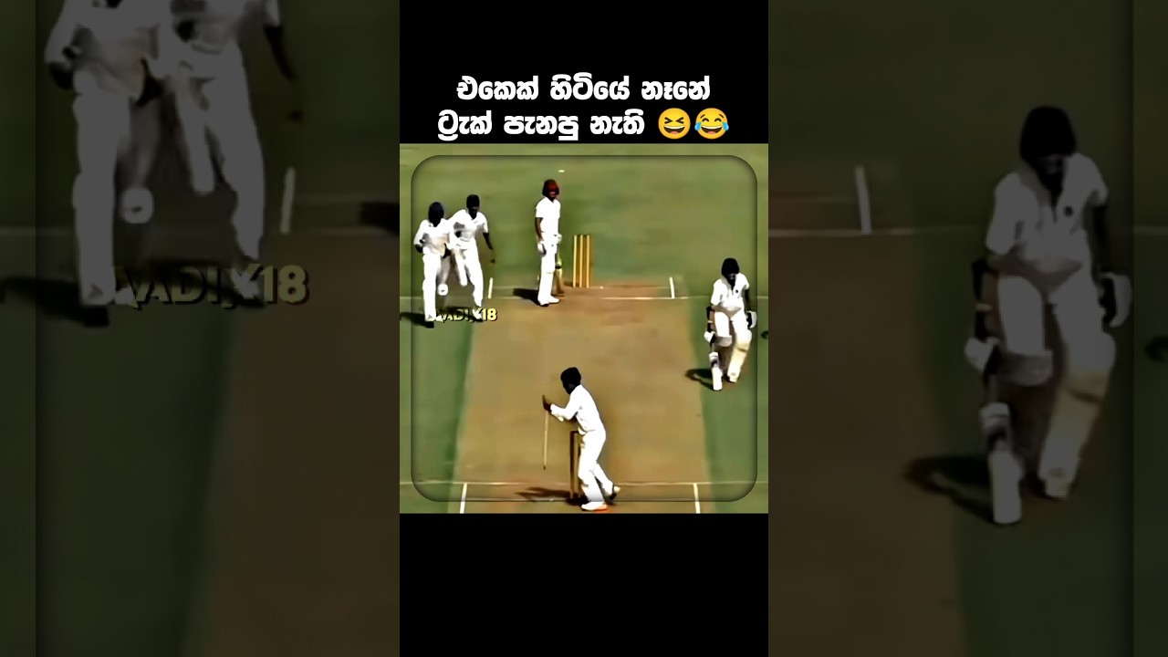 Walking stumps 😂😅 