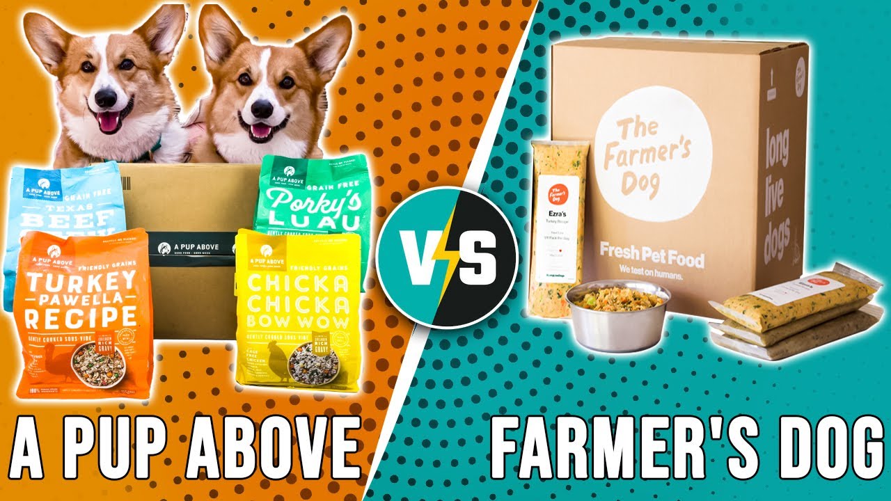 A Pup Above vs Farmer's Dog Who Offers Better Dog Food? (An InDepth