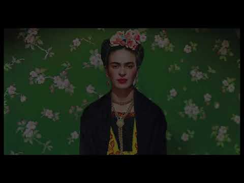 Video Description
