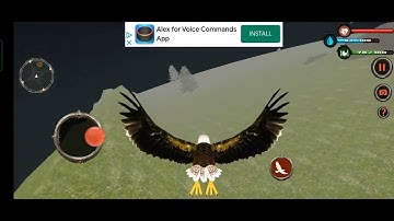 Eagle Simulator 3D by (Virtual Social Sim Games) Android Gameplay (HD)