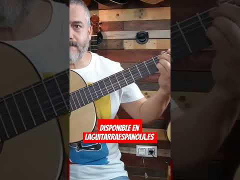 Guitarra Vicente Tatay