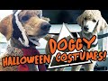 Trying Halloween Costumes on Our Dog! (Taika gets spooky - a VERY scary video indeed)