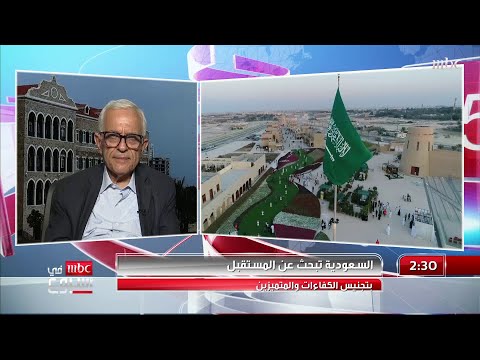 الكاتب والمفكر د رضوان السيد
