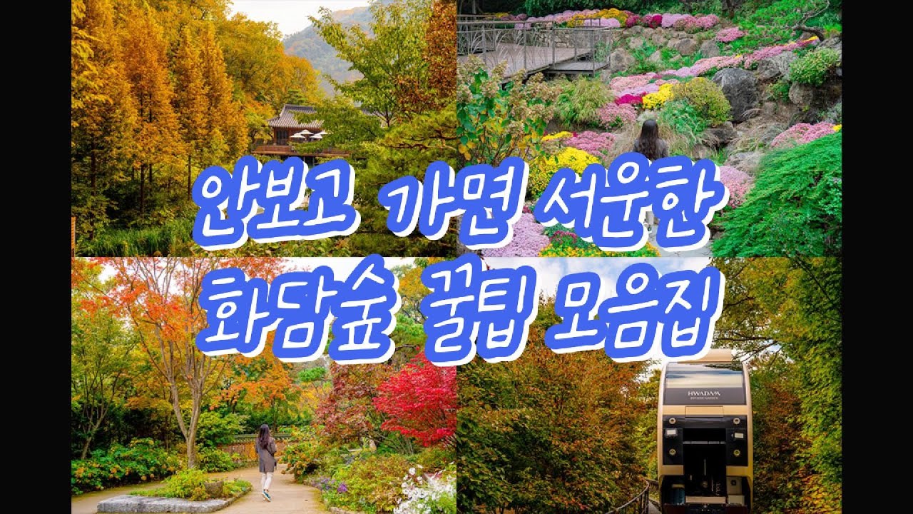 화담숲이 처음인 분들을 위한 2024 화담숲 10월 말 현황 / 주차 꿀팁 / 입장 방법 / 입장 시간 / 스탬프 투어 꿀팁 /옥우부부 브이로그 / vlog