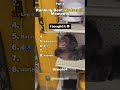 Best Medazelliрџ Ј Ranking Medazelli Tiktok Best Medazelliрџ Ј Ranking Medazelli Tiktok