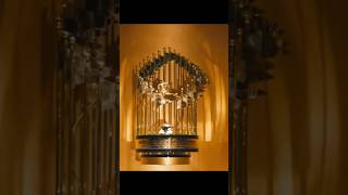 I Want It All Toronto Blue Jays