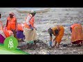 The Man Clearing 9,000 Tons of Trash From Mumbai’s Beaches