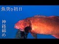 島移住初日の【お魚突き】！