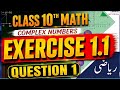 Class 10th Math New Book Chapter 1 Exercise1.1| Exercise 1.1 Question 1 (i-viii) of Class 10th