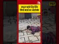 Rinku Singh Mathura Visit : मथुरा पहुंचे रिंकू सिंह.. लिया माता का आशीर्वाद | Cricket | #Shorts