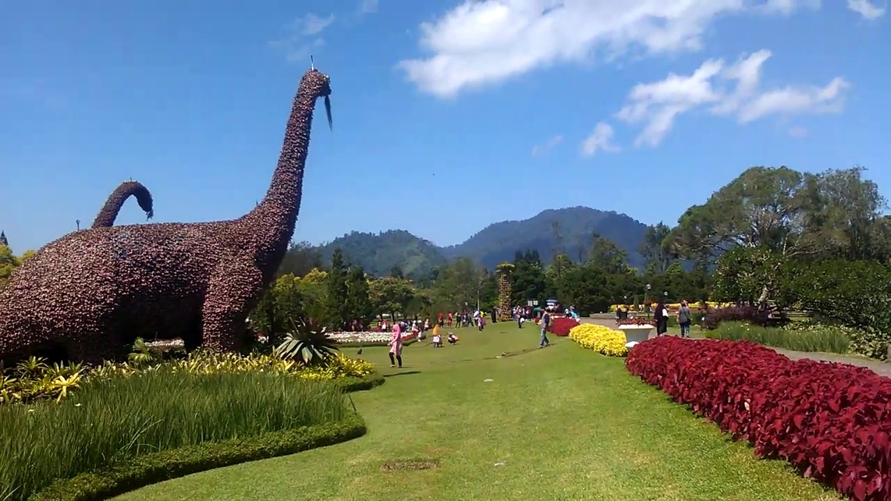  Taman  bunga  Bogor  puncak YouTube