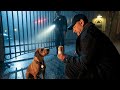 Tom Hanks Found a Dog Waiting Outside the Studio — What He Did Next Made Headlines