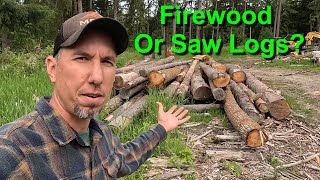 Firewood or Saw Logs: How To Tell & What To Look For
